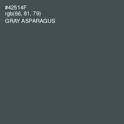 #42514F - Gray Asparagus Color Image